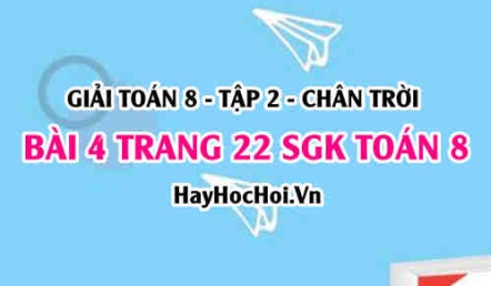 Bài 4 trang 22 Toán 8 Tập 2 Chân trời sáng tạo